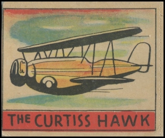 The Curtiss Hawk